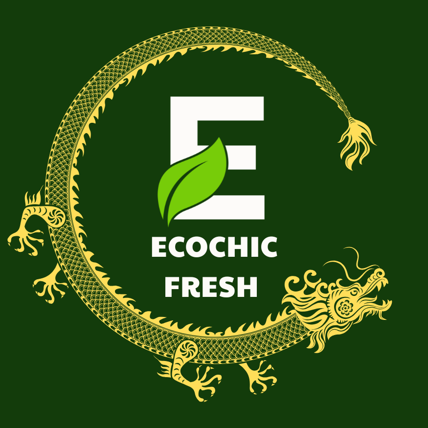 ECOCHIC