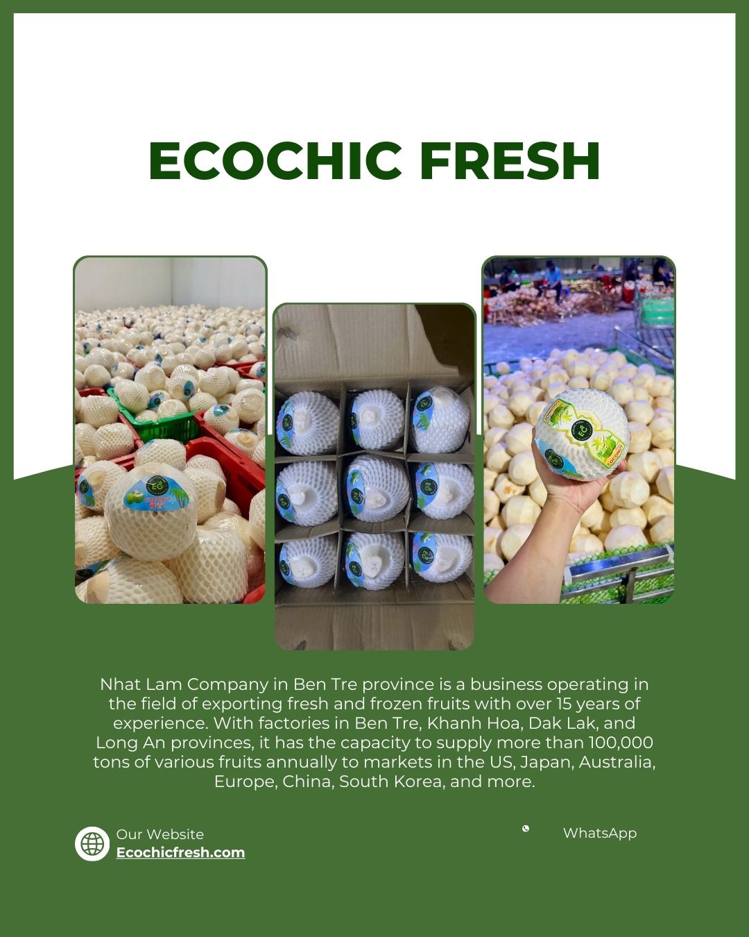 Ecochic Fresh là đơn vị cung cấp dừa gọt kim cương xuất khẩu trực tiếp từ nhà máy, tập trung vào shelf life dài – chất lượng ổn định – khả năng chịu vận chuyển xa