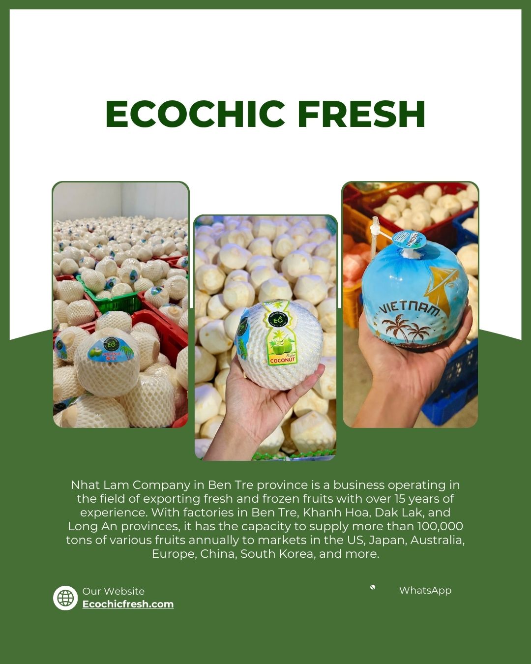Ecochic Fresh is ready to support your diamond cut coconut sourcing with reliable quality, professional export handling, and competitive factory-direct pricing.