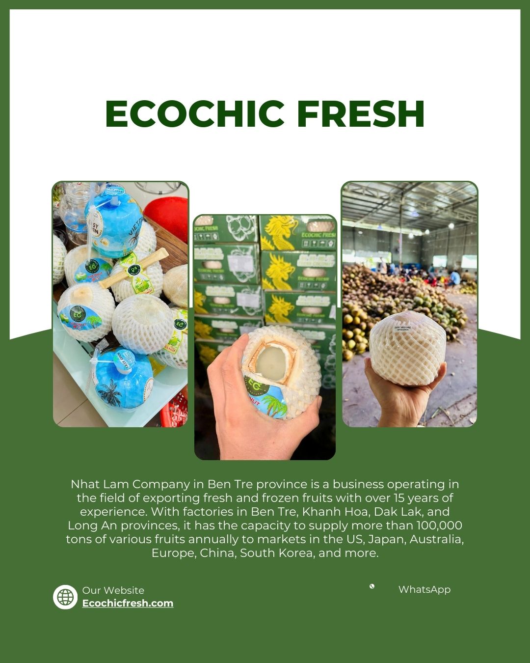 Ecochic Fresh là đơn vị cung cấp dừa gọt kim cương xuất khẩu trực tiếp từ nhà máy, tập trung vào sản lượng lớn – giao đều – giá cạnh tranh