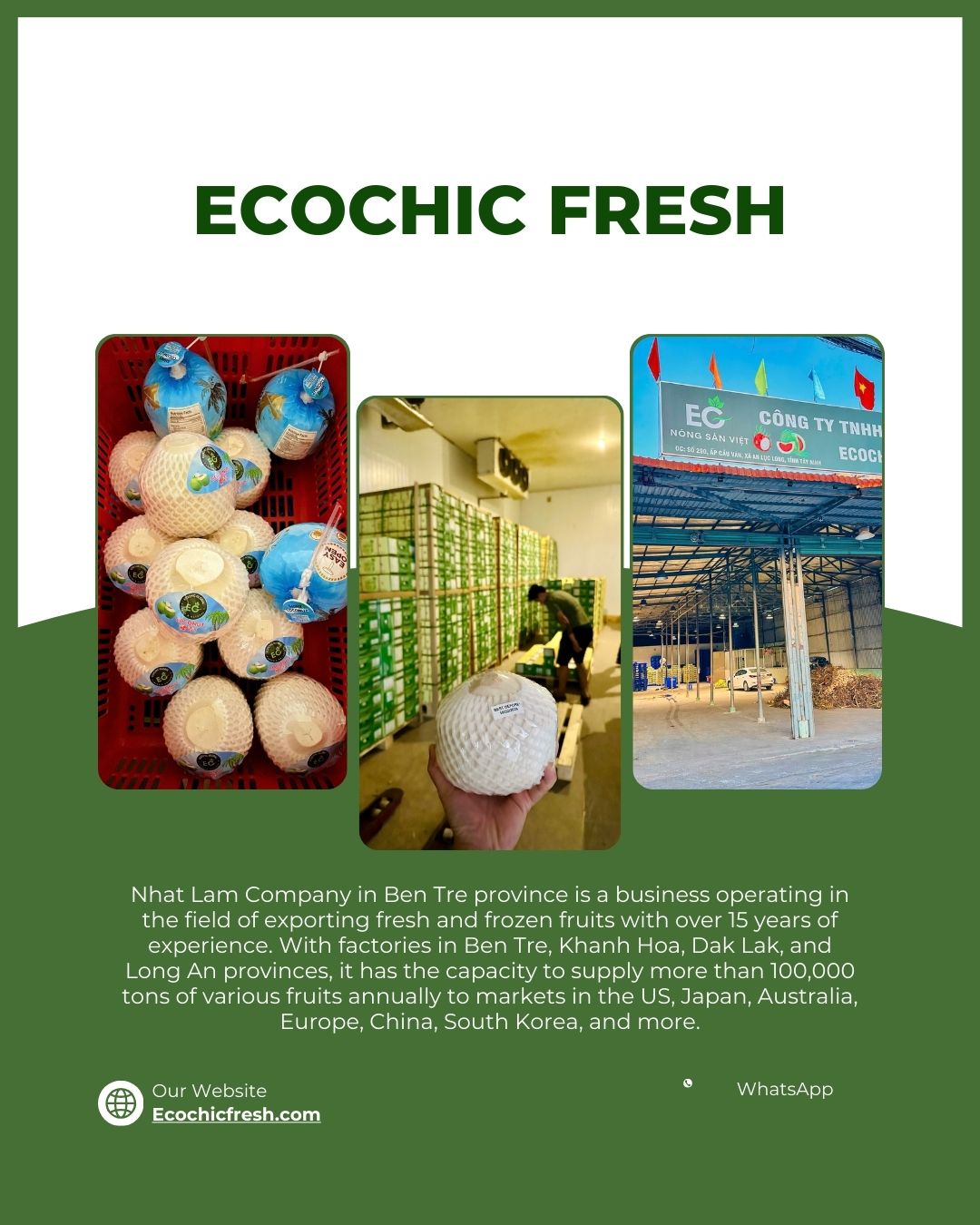 Ecochic Fresh là đơn vị cung cấp dừa gọt kim cương xuất khẩu trực tiếp từ nhà máy, tập trung vào chuẩn sạch, hình thức và tính ổn định