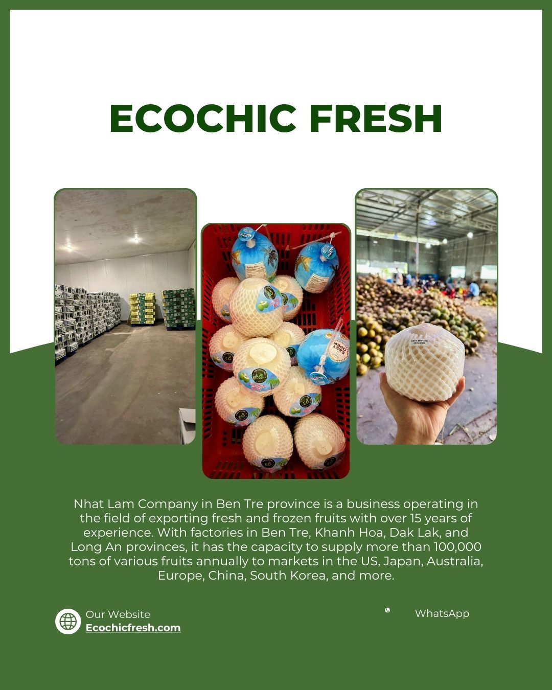 Châu Âu là khu vực có mức tiêu thụ trái cây nhập khẩu cao, đặc biệt là các loại trái cây nhiệt đới.