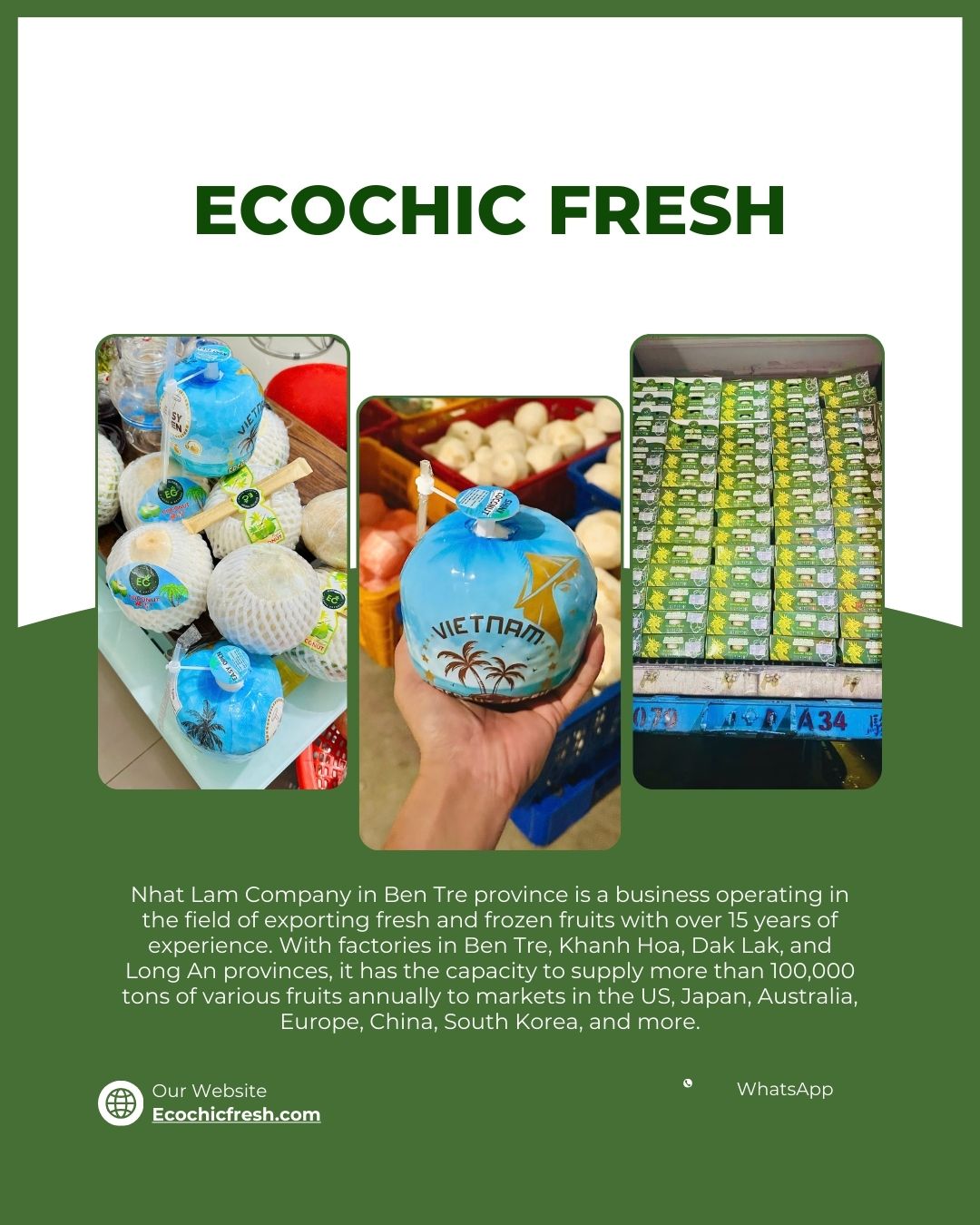 Ecochic Fresh là một trong những đơn vị cung cấp dừa gọt kim cương xuất khẩu trực tiếp từ nhà máy, tập trung vào chất lượng đồng đều và khả năng cung ứng ổn định cho thị trường châu Âu.
