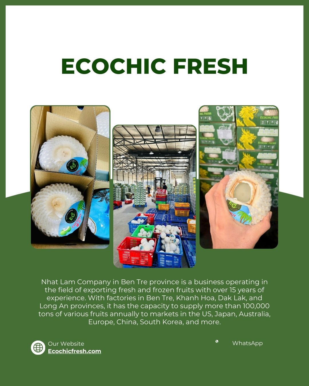 Dừa gọt kim cương khắc phục gần như toàn bộ những nhược điểm này, trở thành lựa chọn tối ưu cho importer và nhà phân phối tại Mỹ.